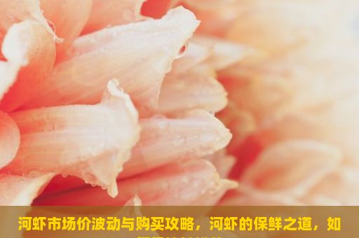 河虾市场价波动与购买攻略，河虾的保鲜之道，如何保持其鲜美