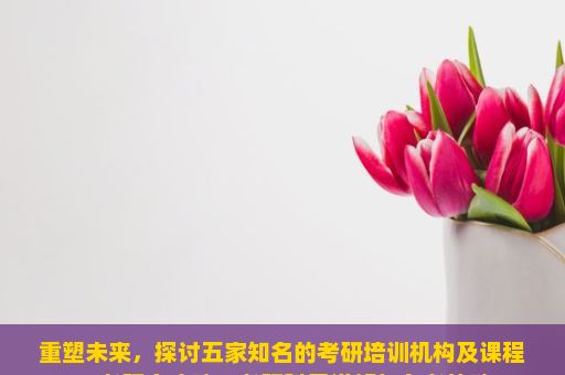 重塑未来，探讨五家知名的考研培训机构及课程，考研全攻略，考研科目详解与备考策略