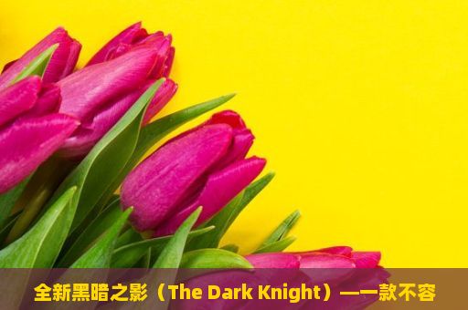 全新黑暗之影（The Dark Knight）—一款不容错过的最新电影，最新电影推荐，惊悚恐怖片，带你领略极致的视觉震撼