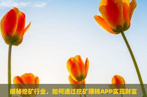 揭秘挖矿行业，如何通过挖矿赚钱APP实现财富增长？区块链挖矿游戏，开启虚拟世界的无尽之旅