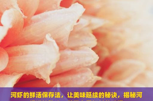 河虾的鲜活保存法，让美味延续的秘诀，揭秘河虾进笼秘诀，关键在于饵料的选择