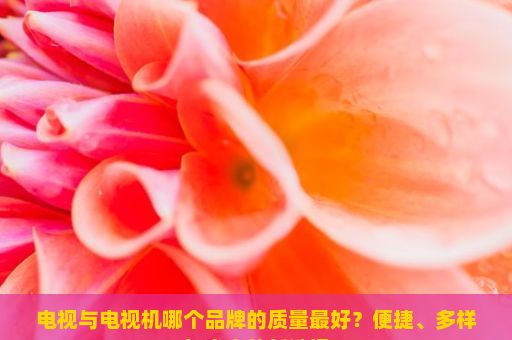 电视与电视机哪个品牌的质量最好？便捷、多样与未来的新选择