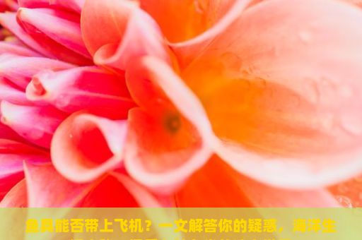 鱼具能否带上飞机？一文解答你的疑惑，海洋生活之秘—探索各种鱼类的迷人世界