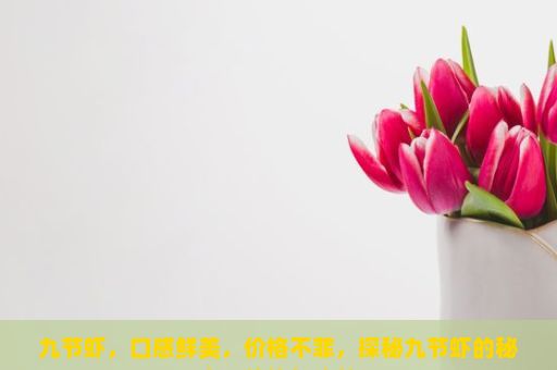 九节虾，口感鲜美，价格不菲，探秘九节虾的秘密，价格与功效