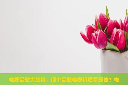 电视品牌大比拼，哪个品牌电视机质量最佳？电视、电视机尺寸一览表长宽