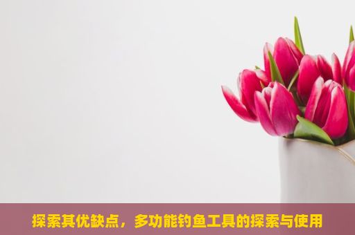 探索其优缺点，多功能钓鱼工具的探索与使用