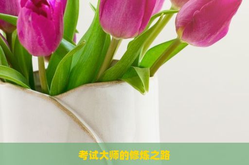 考试大师的修炼之路