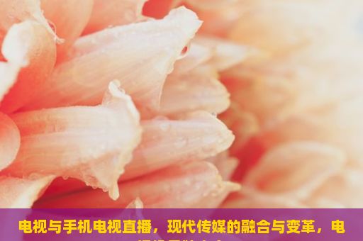 电视与手机电视直播，现代传媒的融合与变革，电视机品牌大全