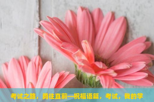 考试之路，勇往直前—祝福语篇，考试，我的学习之路上的导航