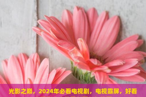 光影之巅，2024年必看电视剧，电视霸屏，好看电视剧大全的最新更新与推荐