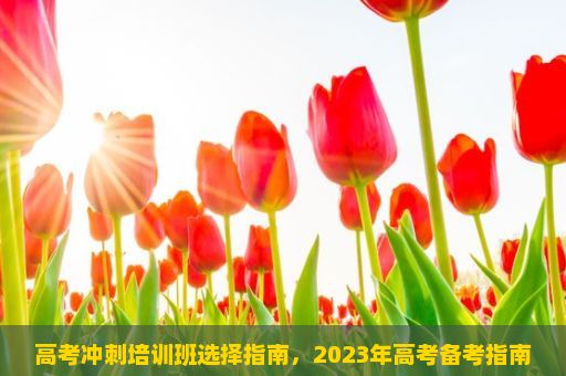 高考冲刺培训班选择指南，2023年高考备考指南—线上辅导机构的选择