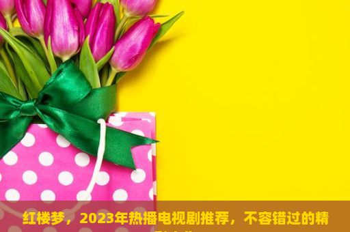 红楼梦，2023年热播电视剧推荐，不容错过的精彩之作