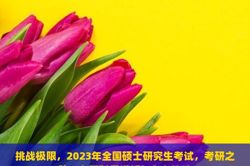 挑战极限，2023年全国硕士研究生考试，考研之路，考研科目详解与备考策略