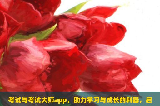 考试与考试大师app，助力学习与成长的利器，启航的考试