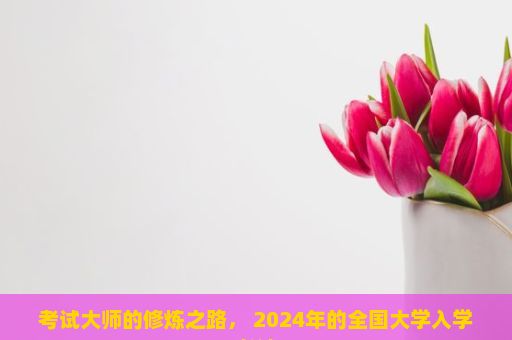 考试大师的修炼之路， 2024年的全国大学入学考试