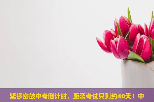 紧锣密鼓中考倒计时，距离考试只剩约40天！中考之路，勇往直前，祝福与鼓励伴你同行