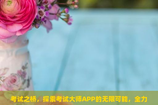 考试之桥，探索考试大师APP的无限可能，全力以赴，铸就辉煌