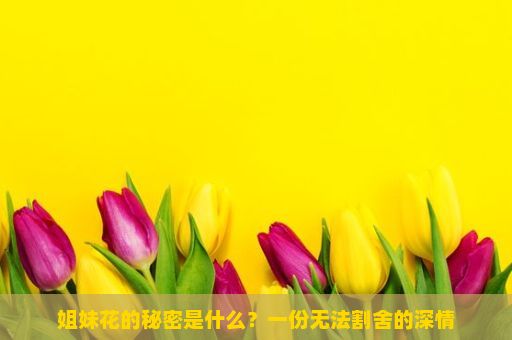 姐妹花的秘密是什么？一份无法割舍的深情