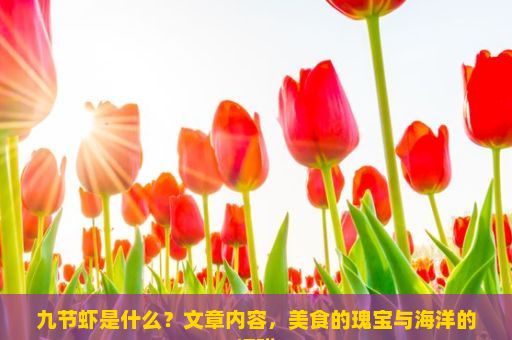 九节虾是什么？文章内容，美食的瑰宝与海洋的馈赠