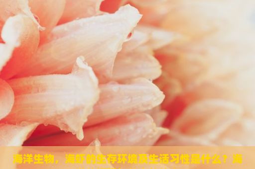 海洋生物，海虾的生存环境及生活习性是什么？海洋的馈赠与美食的传奇