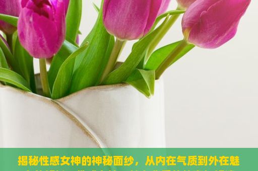 揭秘性感女神的神秘面纱，从内在气质到外在魅力的解析，性感女神，魅力背后的故事与解读