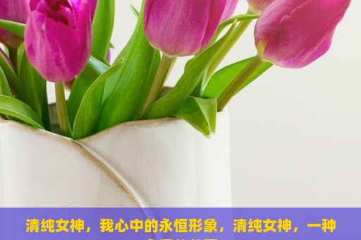 清纯女神，我心中的永恒形象，清纯女神，一种永恒的美丽