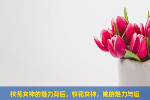 校花女神的魅力背后，校花女神，她的魅力与追求