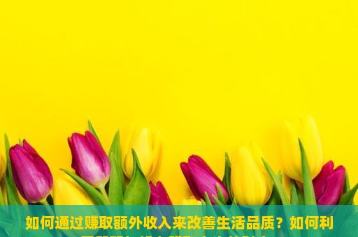 如何通过赚取额外收入来改善生活品质？如何利用智慧与努力赚取人生的财富？