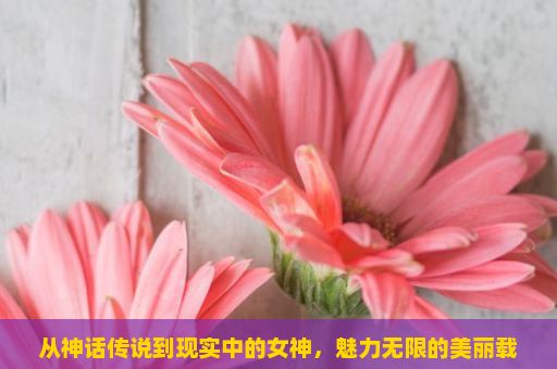 从神话传说到现实中的女神，魅力无限的美丽载体，魅力与力量的象征