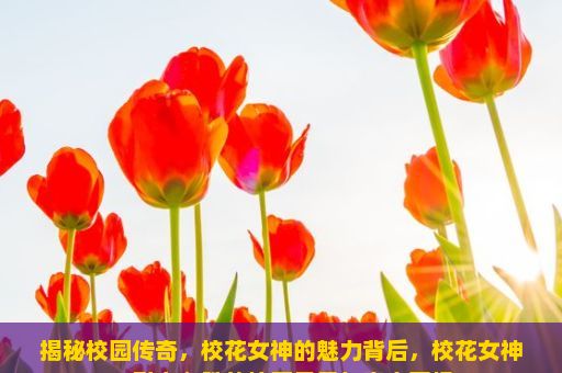 揭秘校园传奇，校花女神的魅力背后，校花女神，引人入胜的校园风景与青春回忆