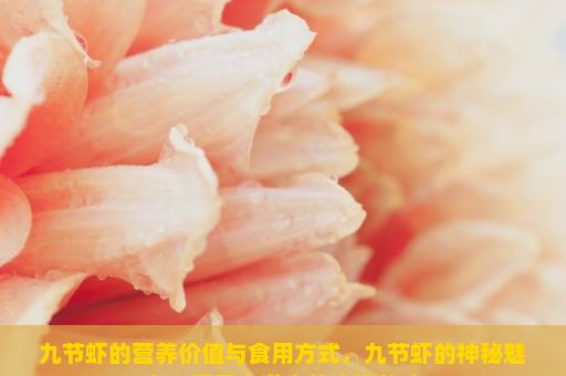 九节虾的营养价值与食用方式，九节虾的神秘魅力，探索海洋中的珍馐美味