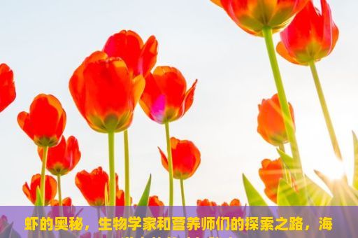 虾的奥秘，生物学家和营养师们的探索之路，海洋中的美味与秘密