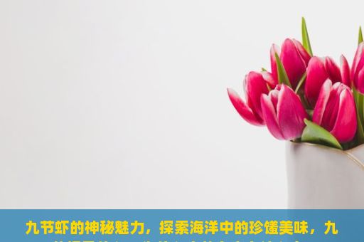 九节虾的神秘魅力，探索海洋中的珍馐美味，九节虾是什么？为什么它的名字有这么多？