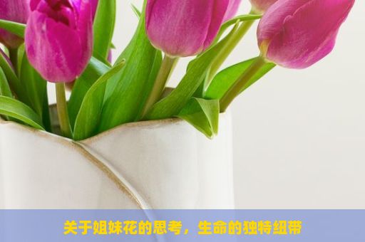 关于姐妹花的思考，生命的独特纽带