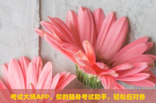 考试大师APP，你的随身考试助手，轻松应对各类考试