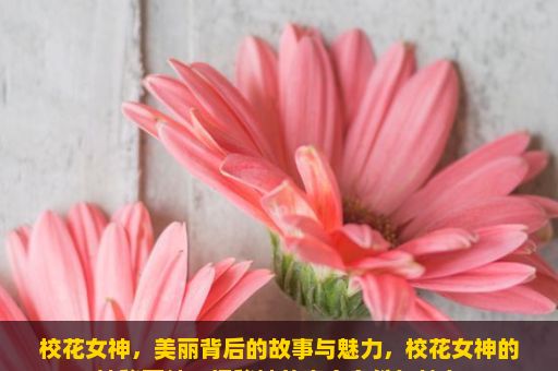 校花女神，美丽背后的故事与魅力，校花女神的神秘面纱—揭秘她的真实身份与魅力