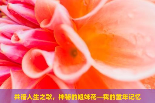 共谱人生之歌，神秘的姐妹花—我的童年记忆