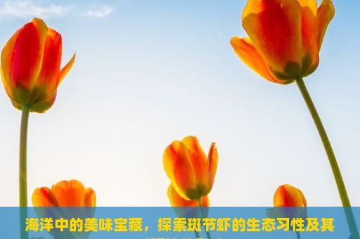 海洋中的美味宝藏，探索斑节虾的生态习性及其对环境的影响