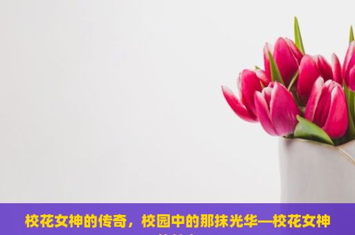 校花女神的传奇，校园中的那抹光华—校花女神的魅力