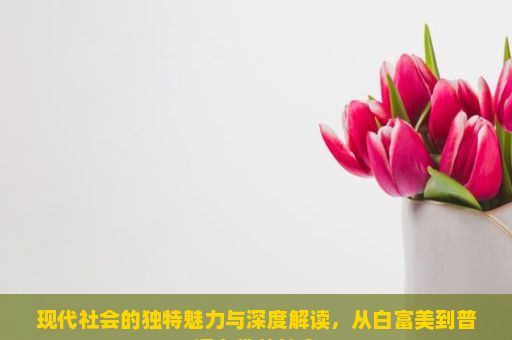 现代社会的独特魅力与深度解读，从白富美到普通女性的转变