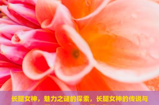 长腿女神，魅力之谜的探索，长腿女神的传说与历史，魅力、力量与影响