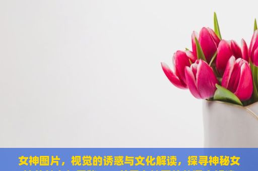 女神图片，视觉的诱惑与文化解读，探寻神秘女神的魅力与奥秘——关于女神图片的深度解读