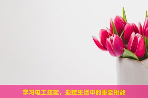 学习电工技能，迎接生活中的重要挑战