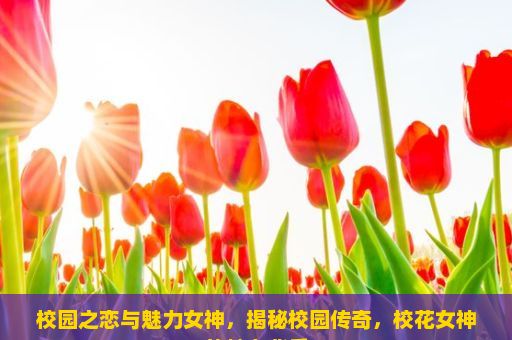 校园之恋与魅力女神，揭秘校园传奇，校花女神的魅力背后