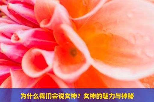 为什么我们会说女神？女神的魅力与神秘