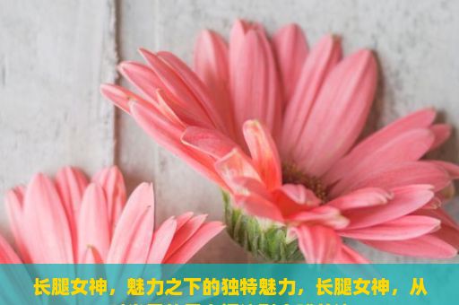 长腿女神，魅力之下的独特魅力，长腿女神，从时尚界的无人问津到全球关注