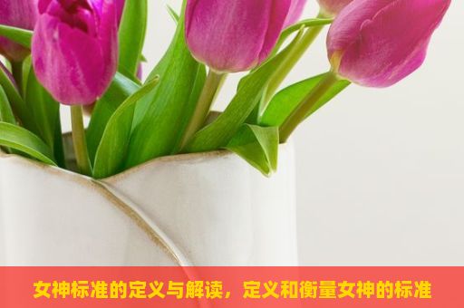 女神标准的定义与解读，定义和衡量女神的标准