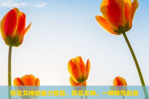 校花女神的魅力背后，校花女神，一种特殊的身份与特权