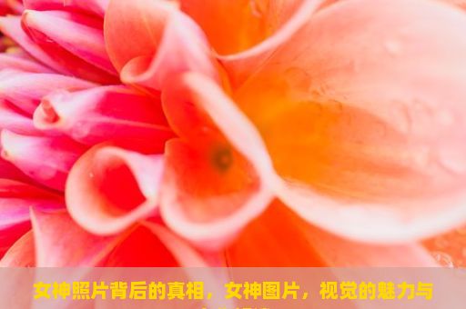 女神照片背后的真相，女神图片，视觉的魅力与文化解读