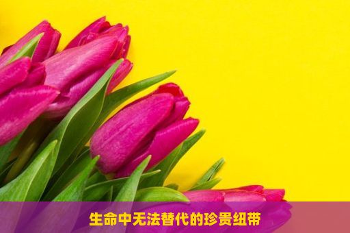 生命中无法替代的珍贵纽带